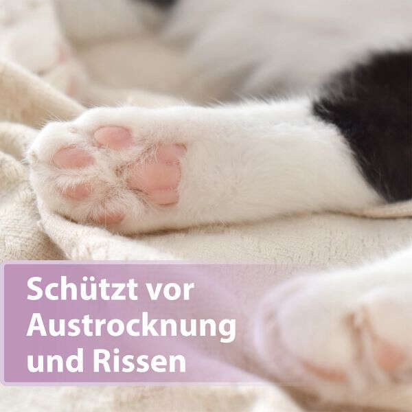 Felisept Pfotenpflege für Katzen